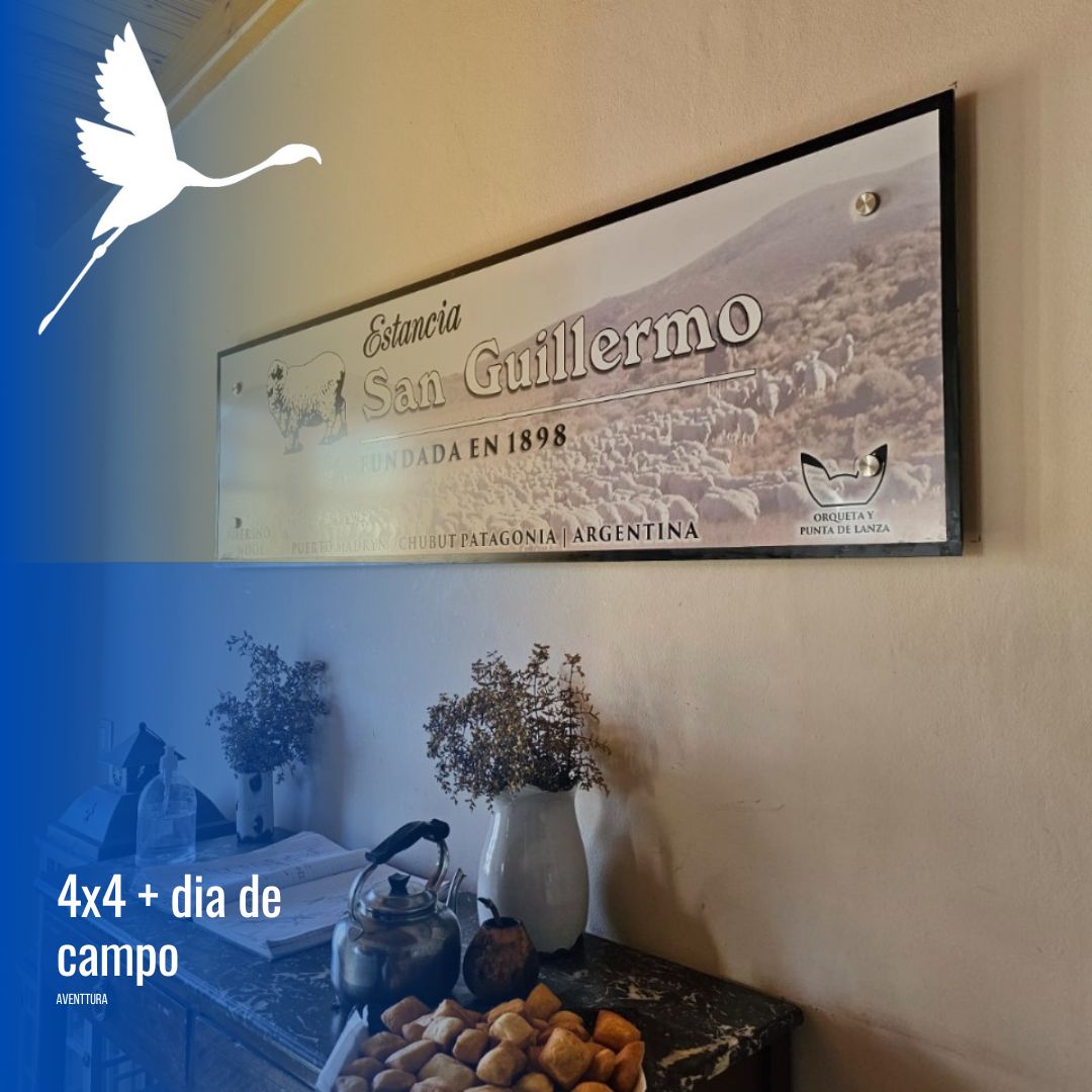 Tour 4x4 en Puerto Madryn con estancia San Guillermo - Imagen 8