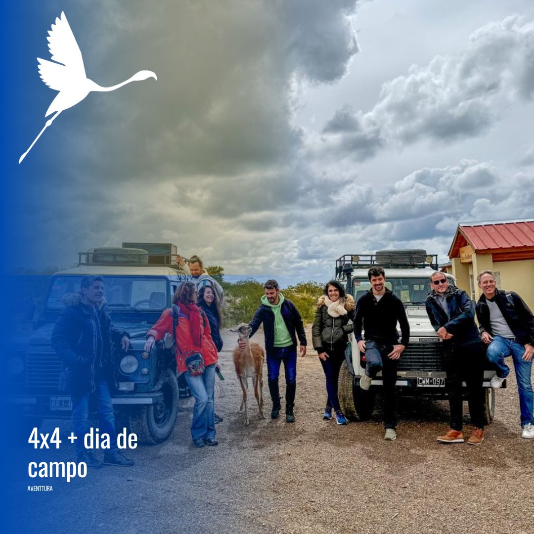 Tour 4x4 en Puerto Madryn con estancia San Guillermo - Imagen 9