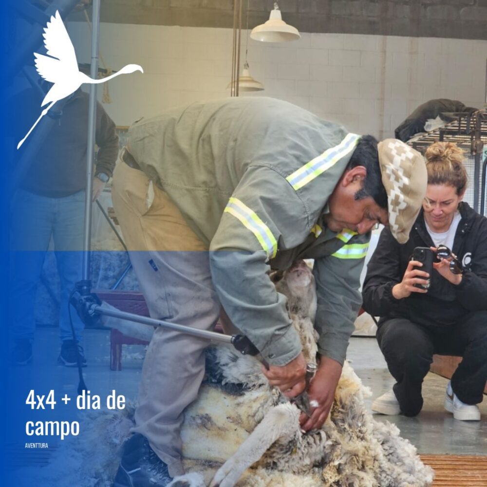 Tour 4x4 en Puerto Madryn con estancia San Guillermo