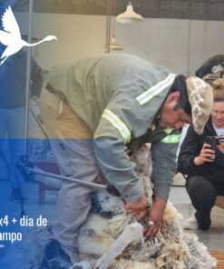 Tour 4x4 en Puerto Madryn con estancia San Guillermo