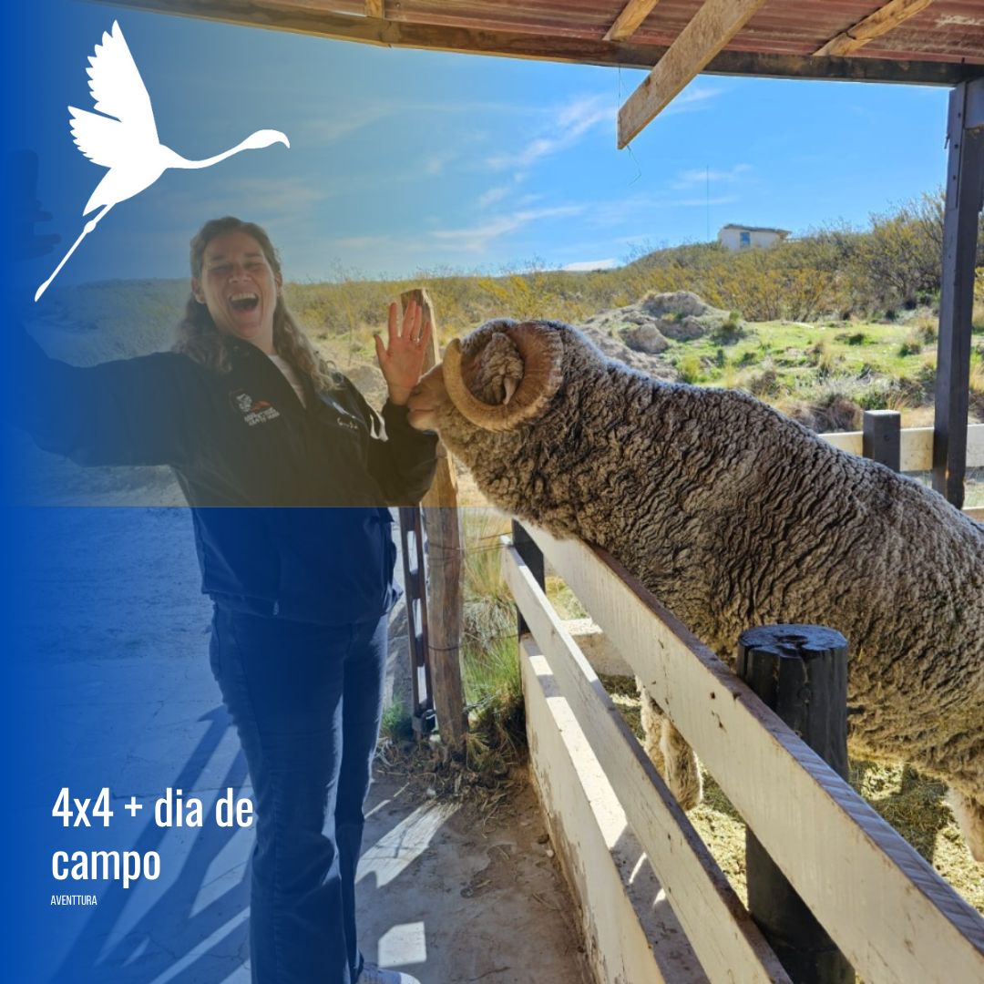 Tour 4x4 en Puerto Madryn con estancia San Guillermo - Imagen 6