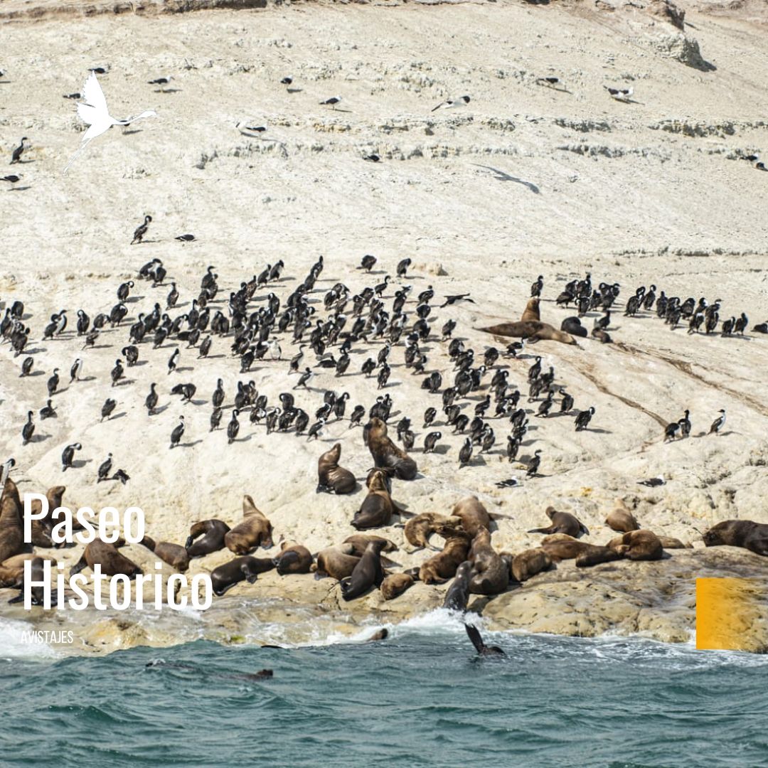 Navegacion: Paseo Histórico. - Imagen 4