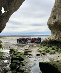 🥾 "Trekking Huellas de Galeses – Caminata Interpretativa por Punta Cuevas y Médanos"