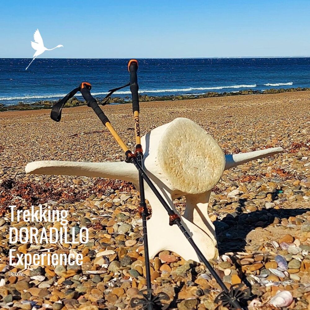 🥾 "Trekking Doradillo Experience – Caminata Costera en Playa El Doradillo"