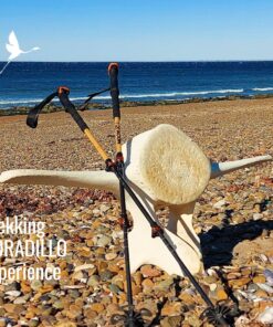 🥾 "Trekking Doradillo Experience – Caminata Costera en Playa El Doradillo"